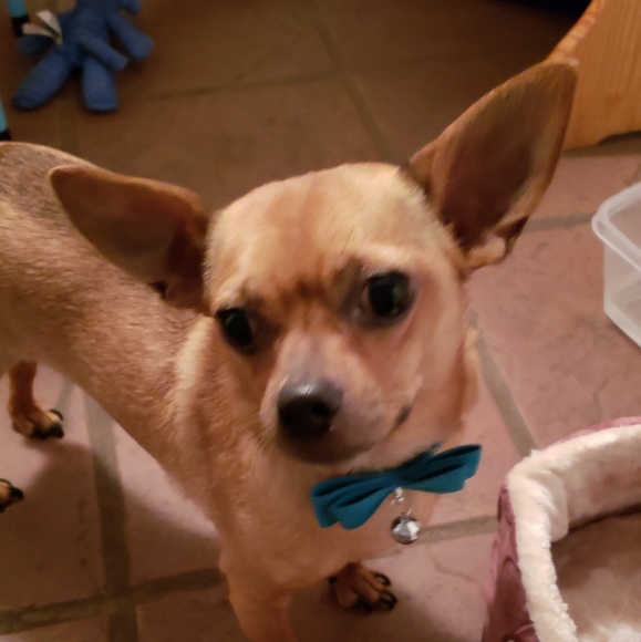 Make an Offer!!! - Picture 4 of 4